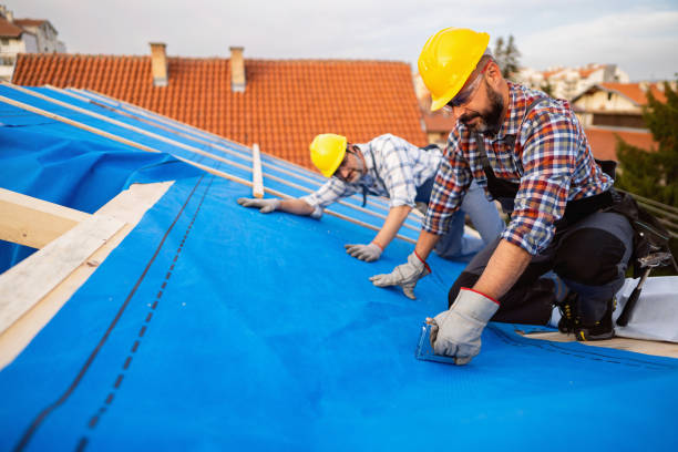 Best Commercial Roofing Services  in Petal, MS