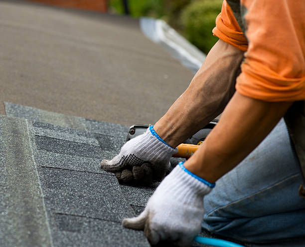 Best Commercial Roofing Services  in Petal, MS