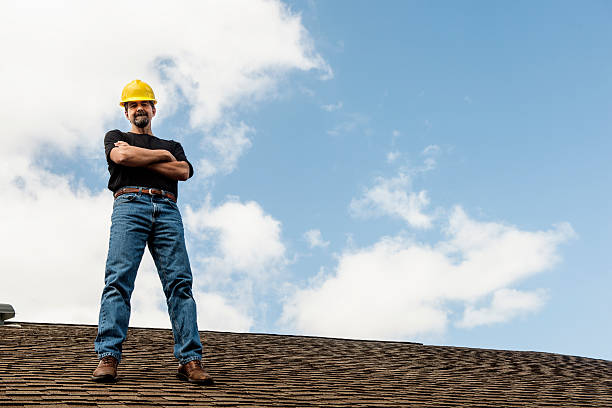 Roof Gutter Cleaning in Petal, MS