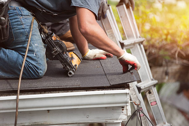 Best Roof Gutter Cleaning  in Petal, MS